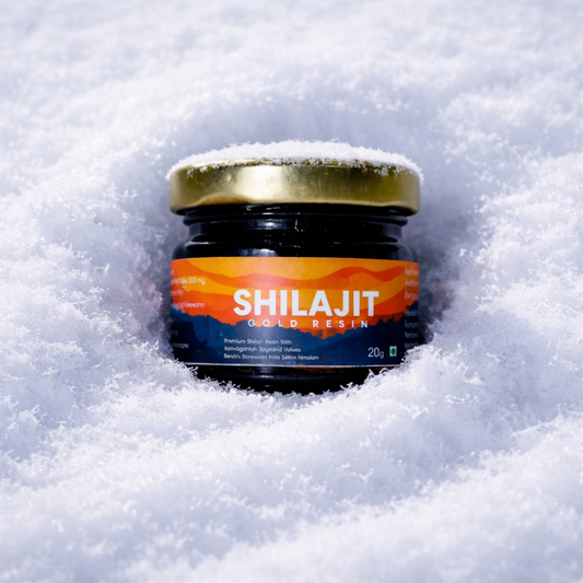 Best Shilajit Brand in the World – Why Rivedic Stands Out (2026 Guide) - Rivedic