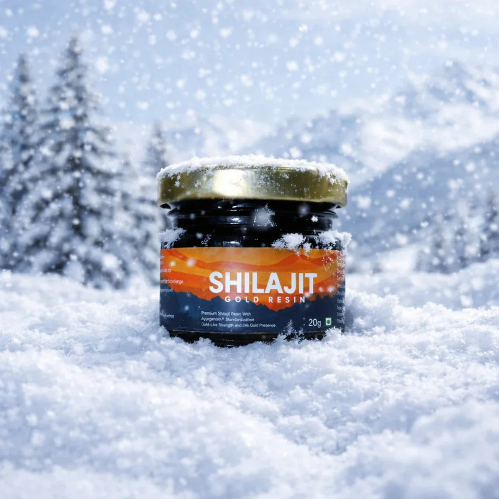 Mountain Himalayan Shilajit Resin – 100% Pure Natural 20g - Rivedic