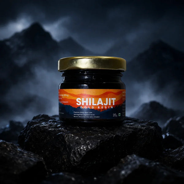 Mountain Himalayan Shilajit Resin – 100% Pure Natural 20g - Rivedic